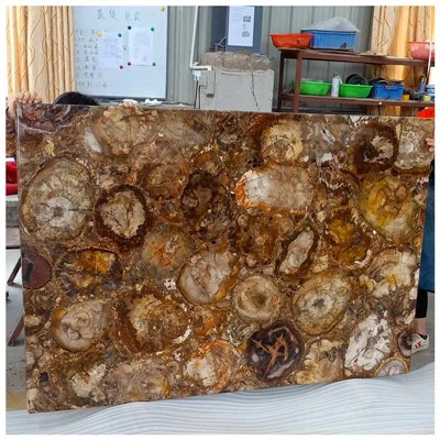 Lastra di legno pietrificato
